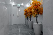 small thumb
